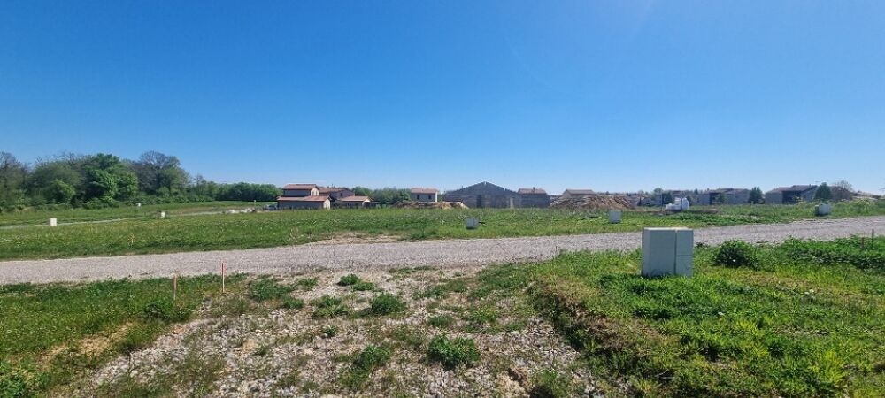 vente Terrain - 618 m² Montanay (69250)