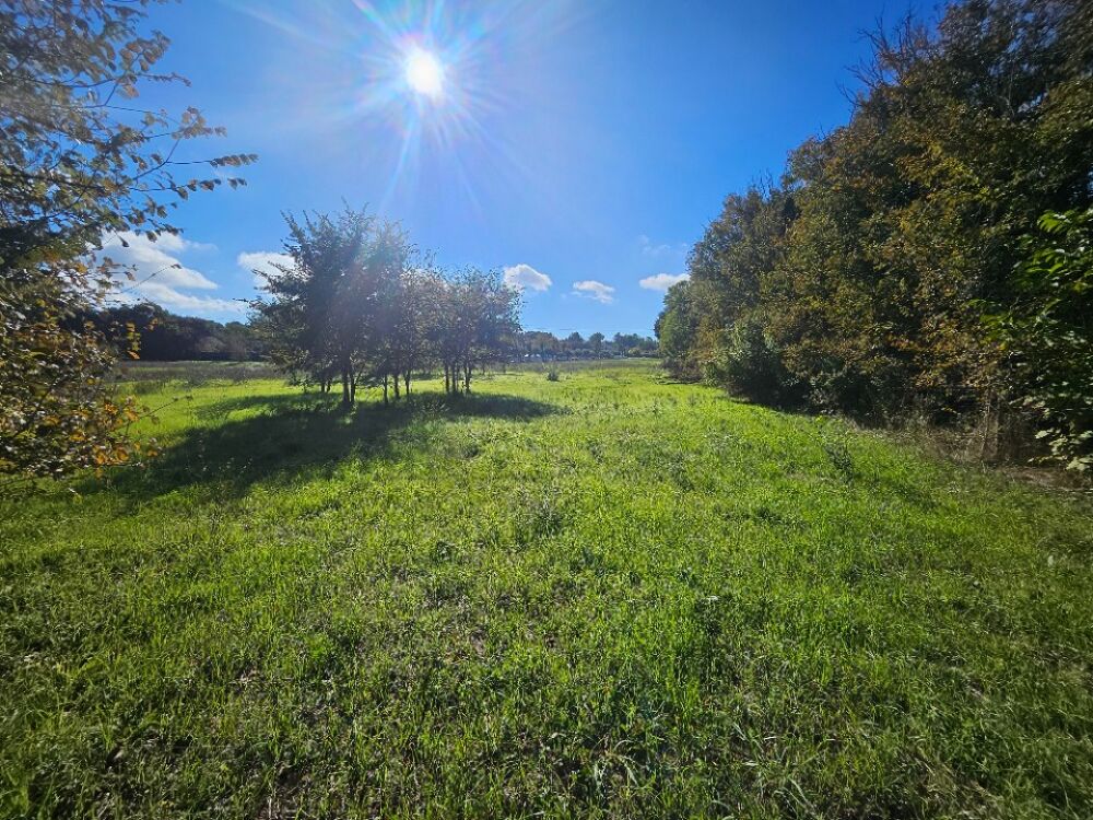 vente Terrain - 650 m² Le Tholonet (13100)