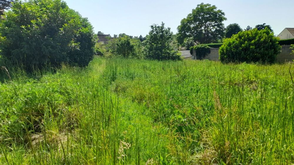 EXCLUSIVITE : TERRAIN D'EXCEPTION DE 951 M2 A BRIIS-SOUS....