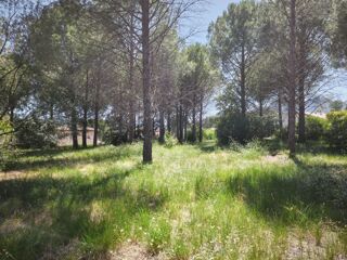  Terrain à vendre 500 m²