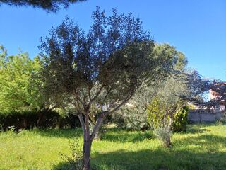  Maison 5 pi�ces 115 m� La crau