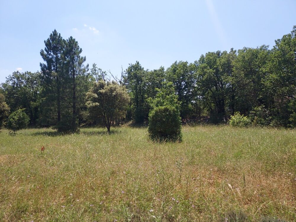 vente Terrain - 1165 m² Gonfaron (83590)