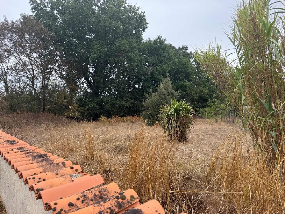 vente Terrain - 697 m² Avrillé (85440)