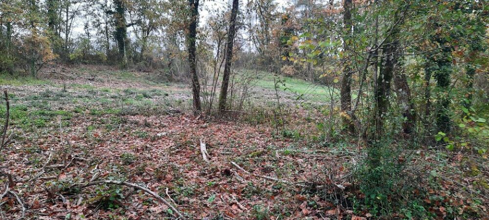 vente Terrain - 2100 m² Maurens (24140)
