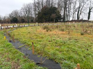  Terrain � vendre 805 m�