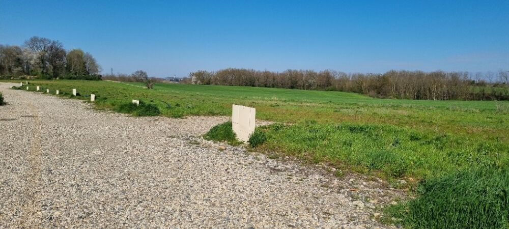 vente Terrain - 437 m² Montanay (69250)