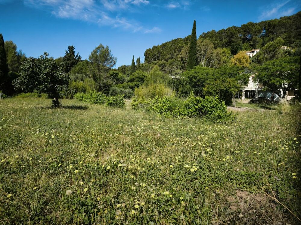 vente Terrain - 501 m² Solliès-Pont (83210)
