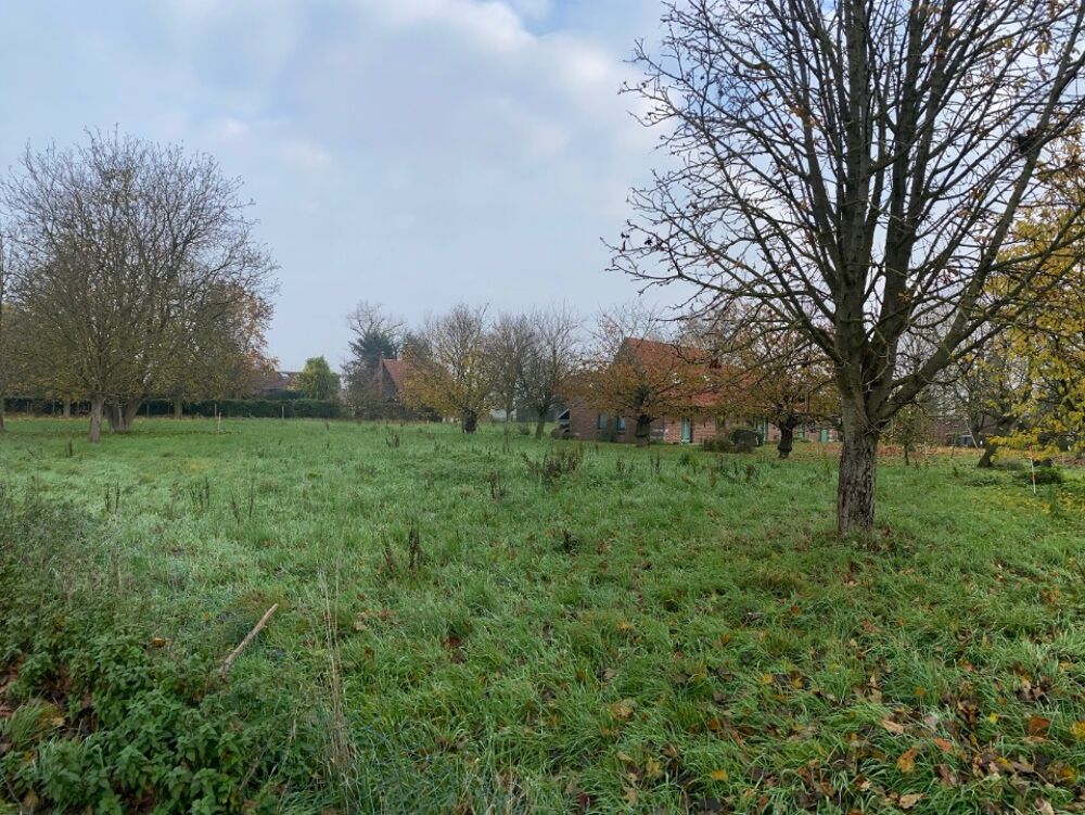 vente Maison - 7 pièce(s) - 150 m² Fretin (59273)