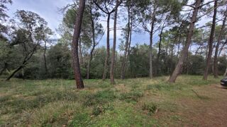  Terrain � vendre 344 m�