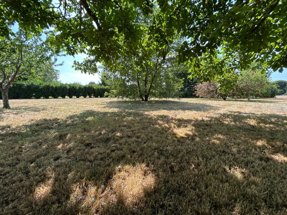vente Terrain - 1400 m² Gémozac (17260)