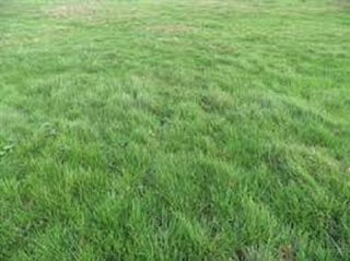  Terrain à vendre 400 m²