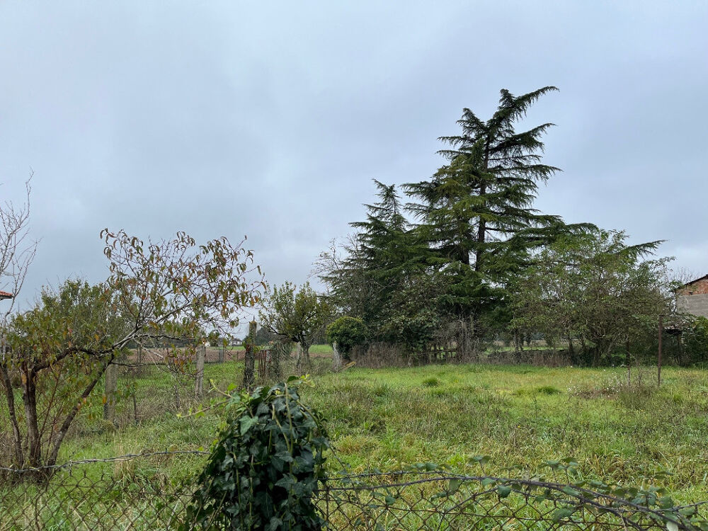 vente Terrain - 649 m² Terssac (81150)