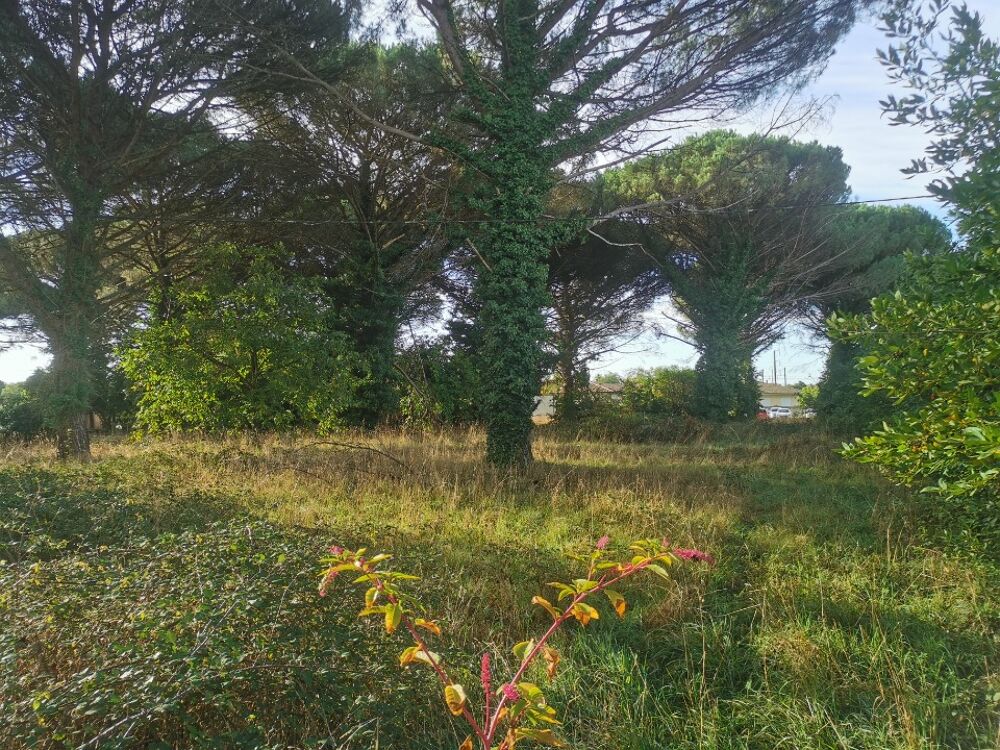 VENTE d'une maison F4 (85 m²) à Saint-Maixant Contac....