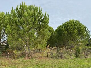 Terrain � vendre 420 m�