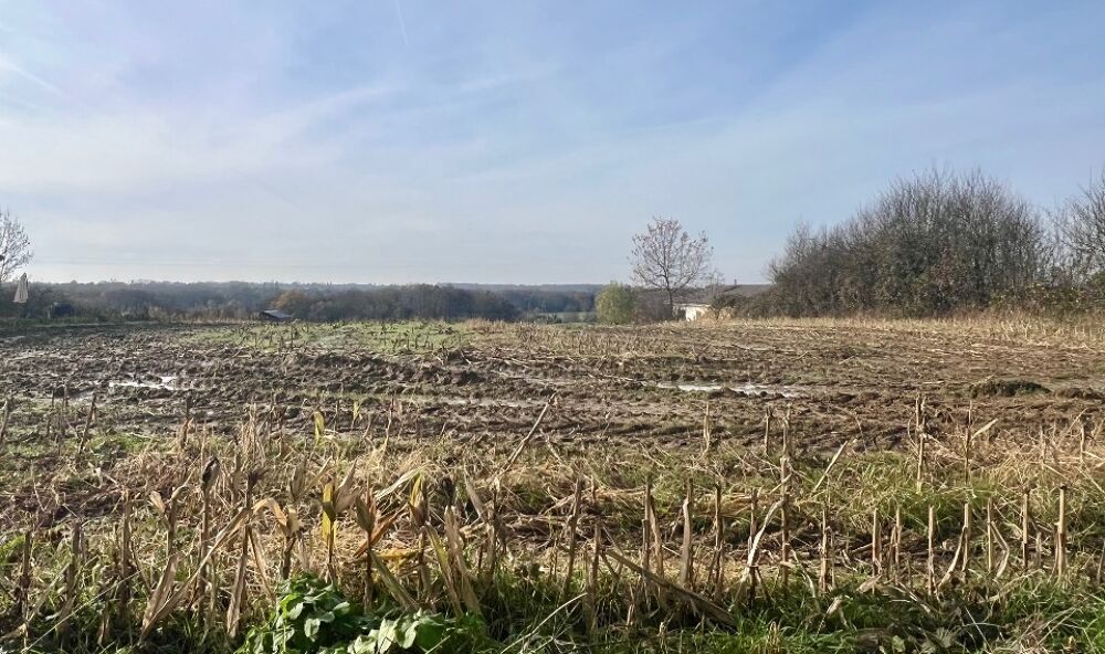 vente Terrain - 1331 m² Polliat (01310)