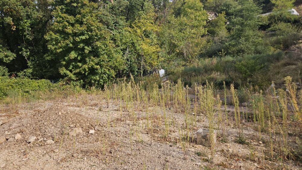 vente Terrain - 884 m� Saint-Vallier-de-Thiey (06460)