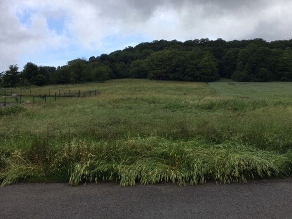 À vendre - Projet Terrain + Maison contemporaine à Mache....