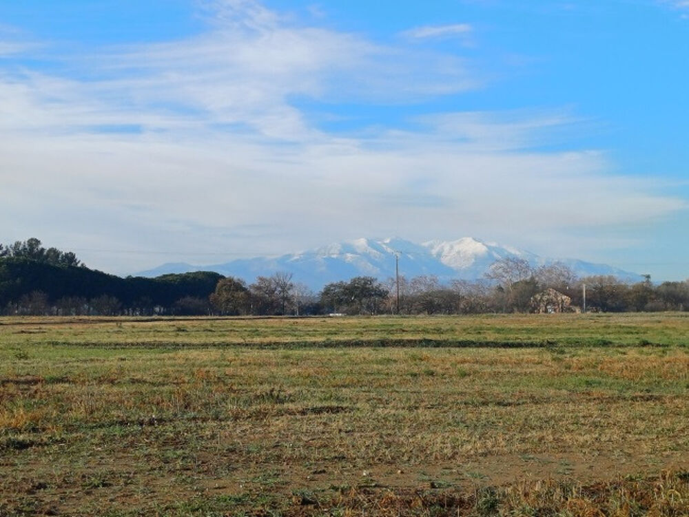 vente Terrain - 440 m� Villeneuve-de-la-Raho (66180)
