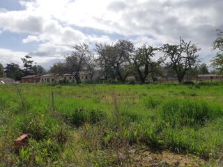  Maison 6 pi�ces 145 m� Dieupentale