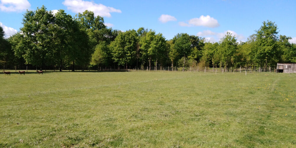 vente Terrain - 1534 m� Beaupouyet (24400)