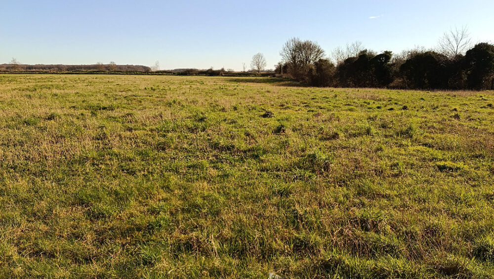 vente Terrain - 2014 m² Recques-sur-Course (62170)