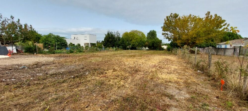 vente Terrain - 1031 m² La Tremblade (17390)