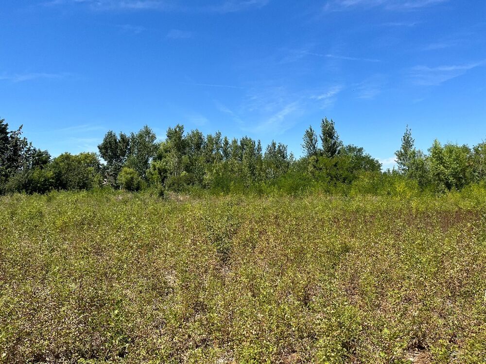 vente Maison - 5 pièce(s) - 115 m² Castelnaudary (11400)