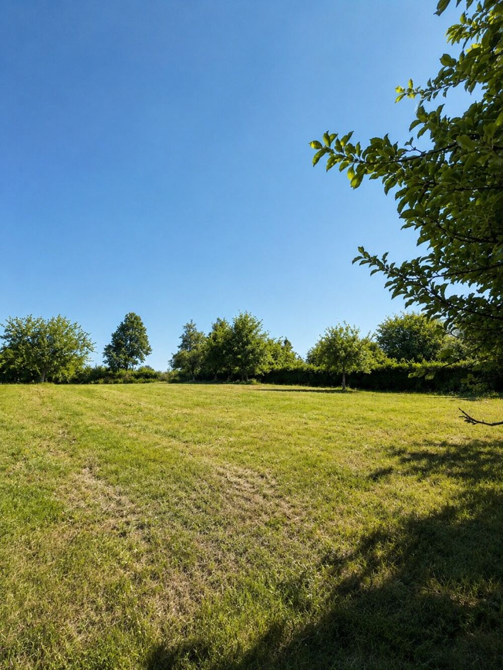 vente Terrain - 1000 m² Saint-Germain-sur-Eaulne (76270)