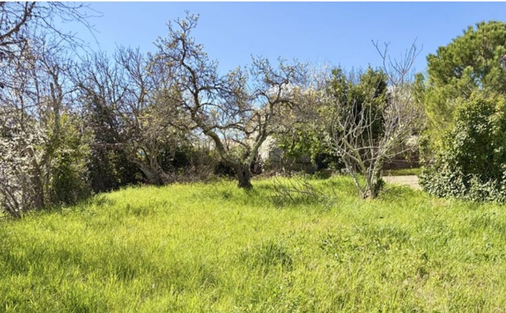 vente Terrain - 580 m² Alaigne (11240)