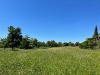  Maison 4 pi�ces 89 m� Burnhaupt-le-bas