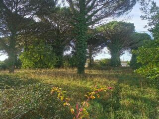  Terrain � vendre 1042 m�