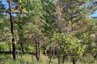  Terrain � vendre 830 m�