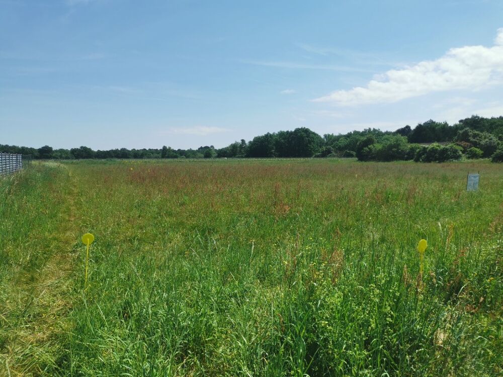 vente Terrain - 1017 m² Mazères (33210)