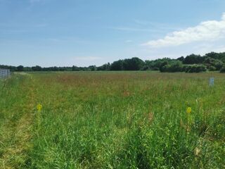  Terrain à vendre 1017 m²