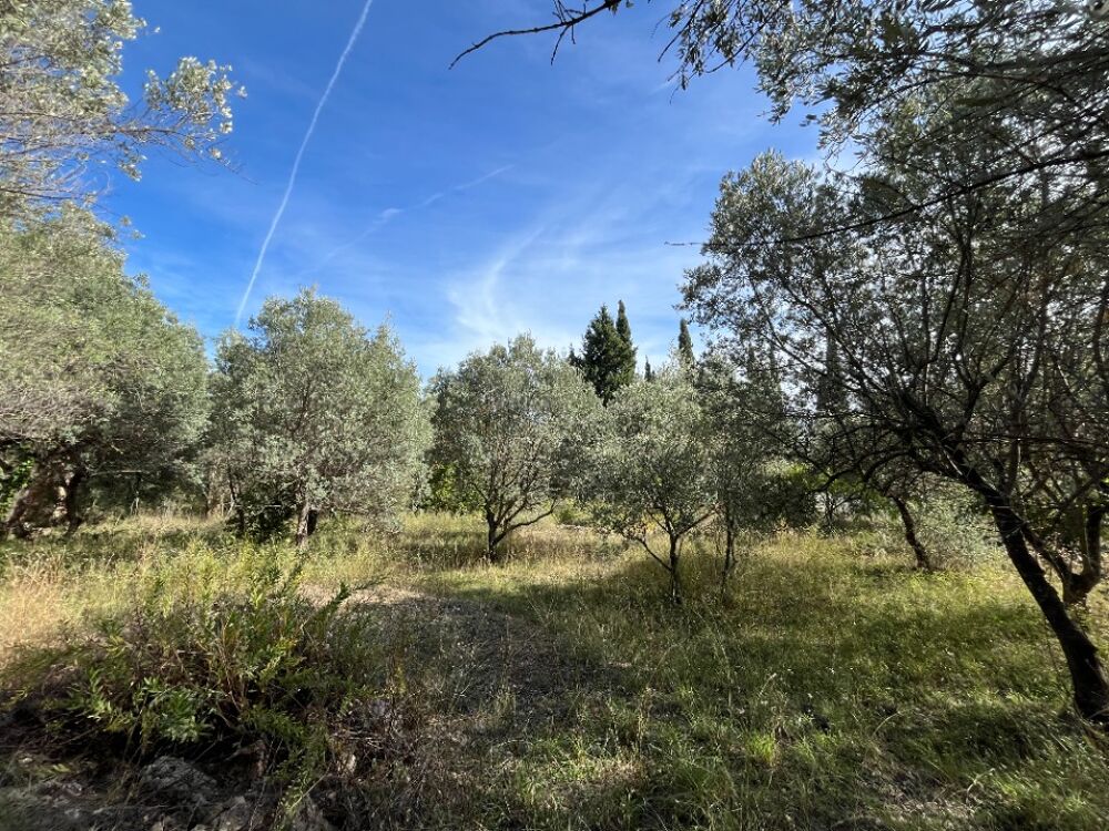 vente Terrain - 668 m² Draguignan (83300)
