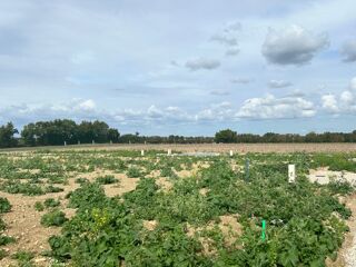  Maison 4 pi�ces 90 m� Saint-jean-de-liversay