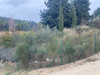  Terrain � vendre 1134 m�