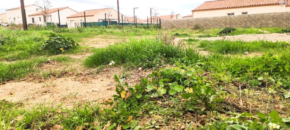 vente Terrain - 457 m² Pouzolles (34480)