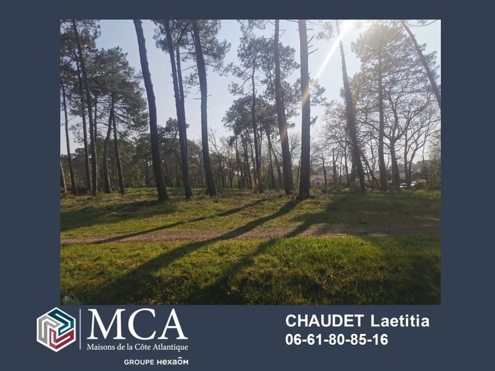 vente Terrain - 800 m� Tartas (40400)