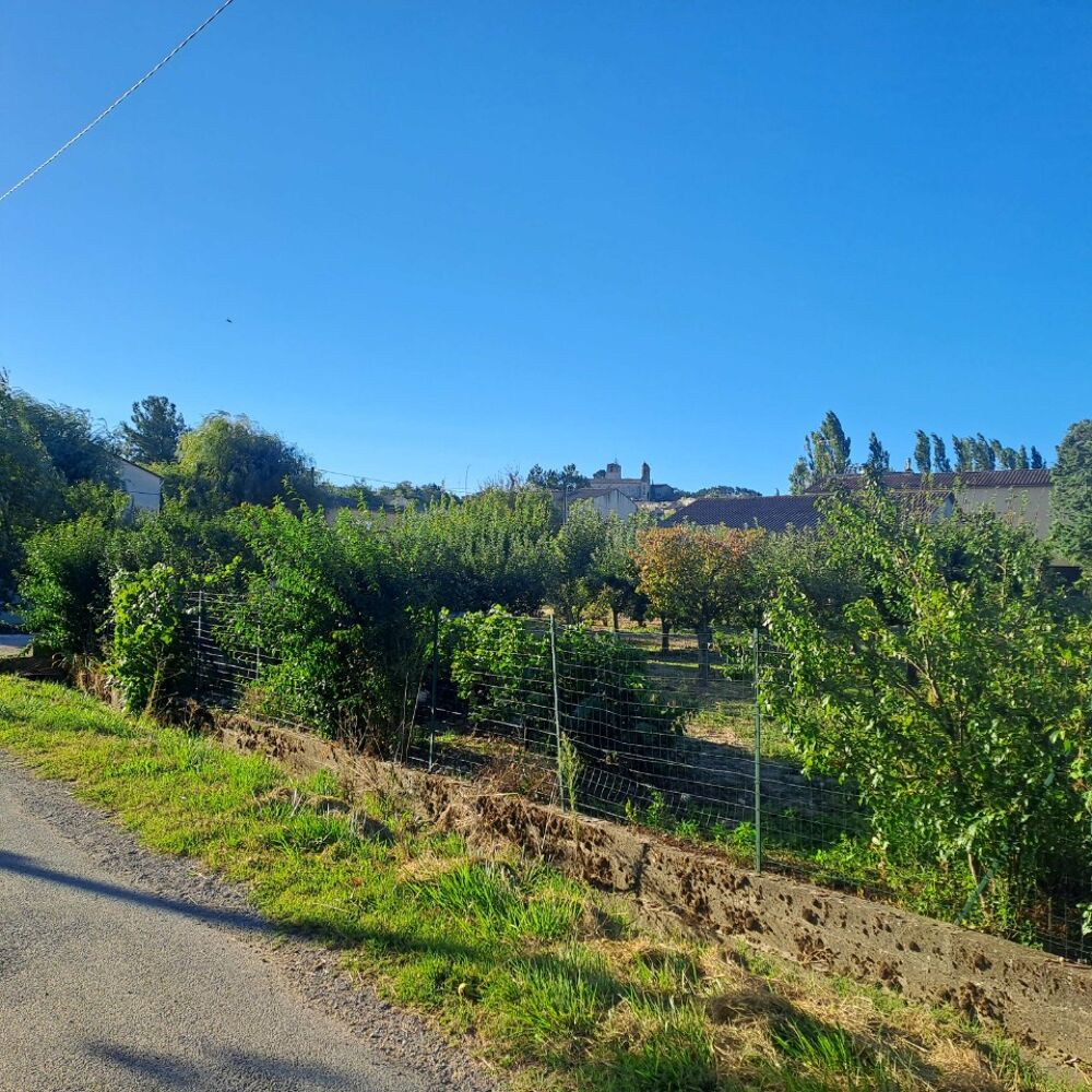 vente Terrain - 3870 m² Rians (83560)