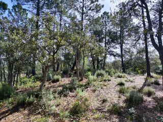  Maison 5 pi�ces 110 m� Vidauban