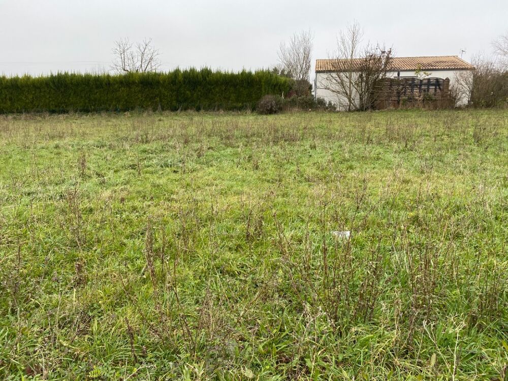 vente Terrain - 989 m² Champagne (17620)