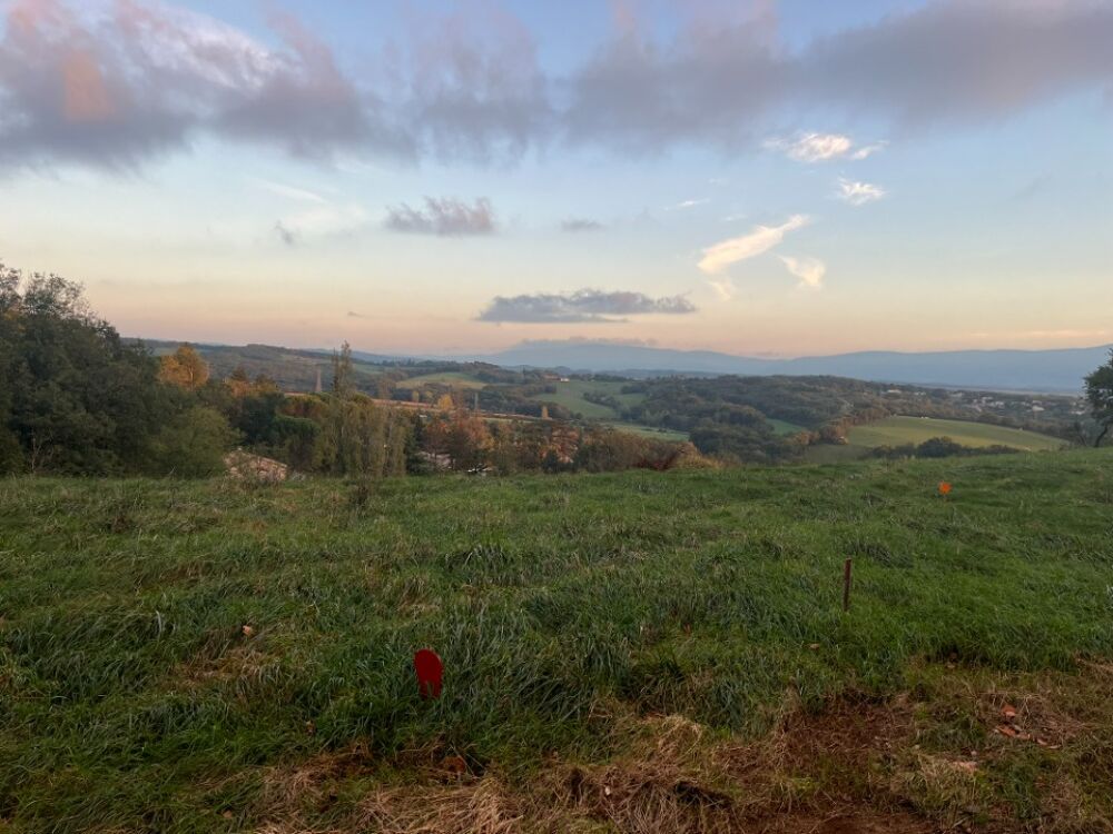 vente Terrain - 3432 m² Castres (81100)