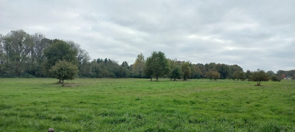vente Terrain - 1756 m² Ménesplet (24700)