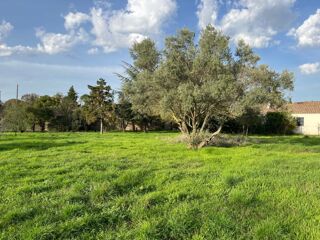  Terrain à vendre 256 m²
