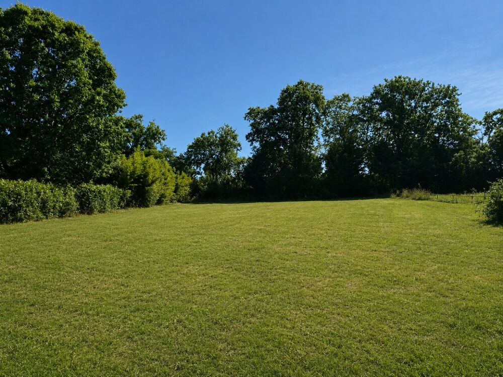 vente Terrain - 1005 m² Saint-Jory (31790)