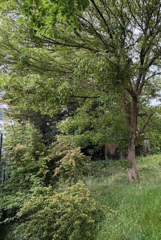  Maison � vendre 5 pi�ces 89 m�