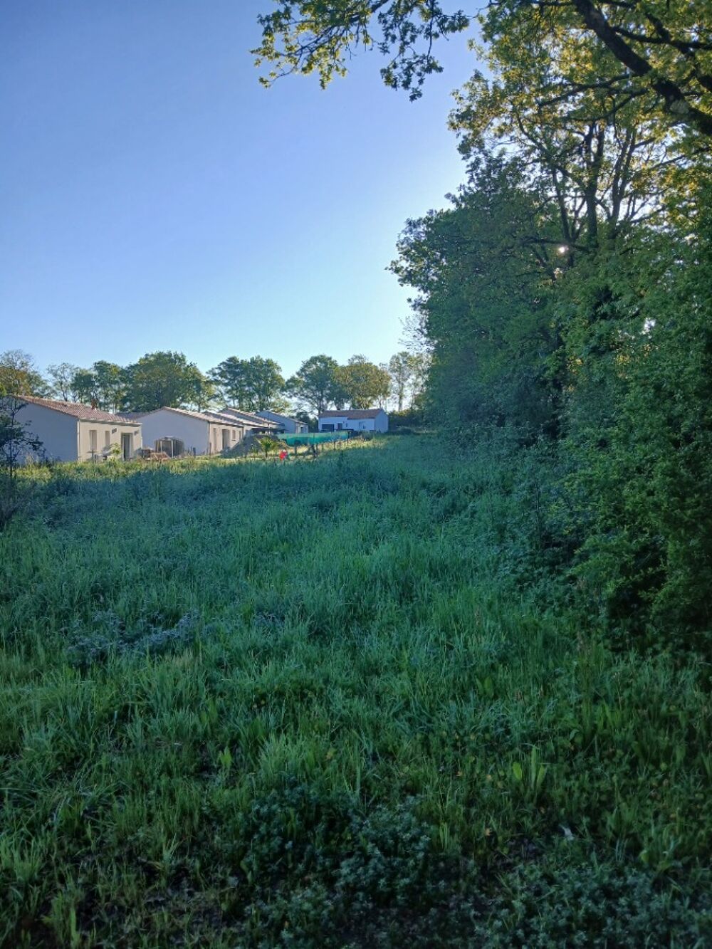 vente Maison - 6 pièce(s) - 140 m² Les Brouzils (85260)