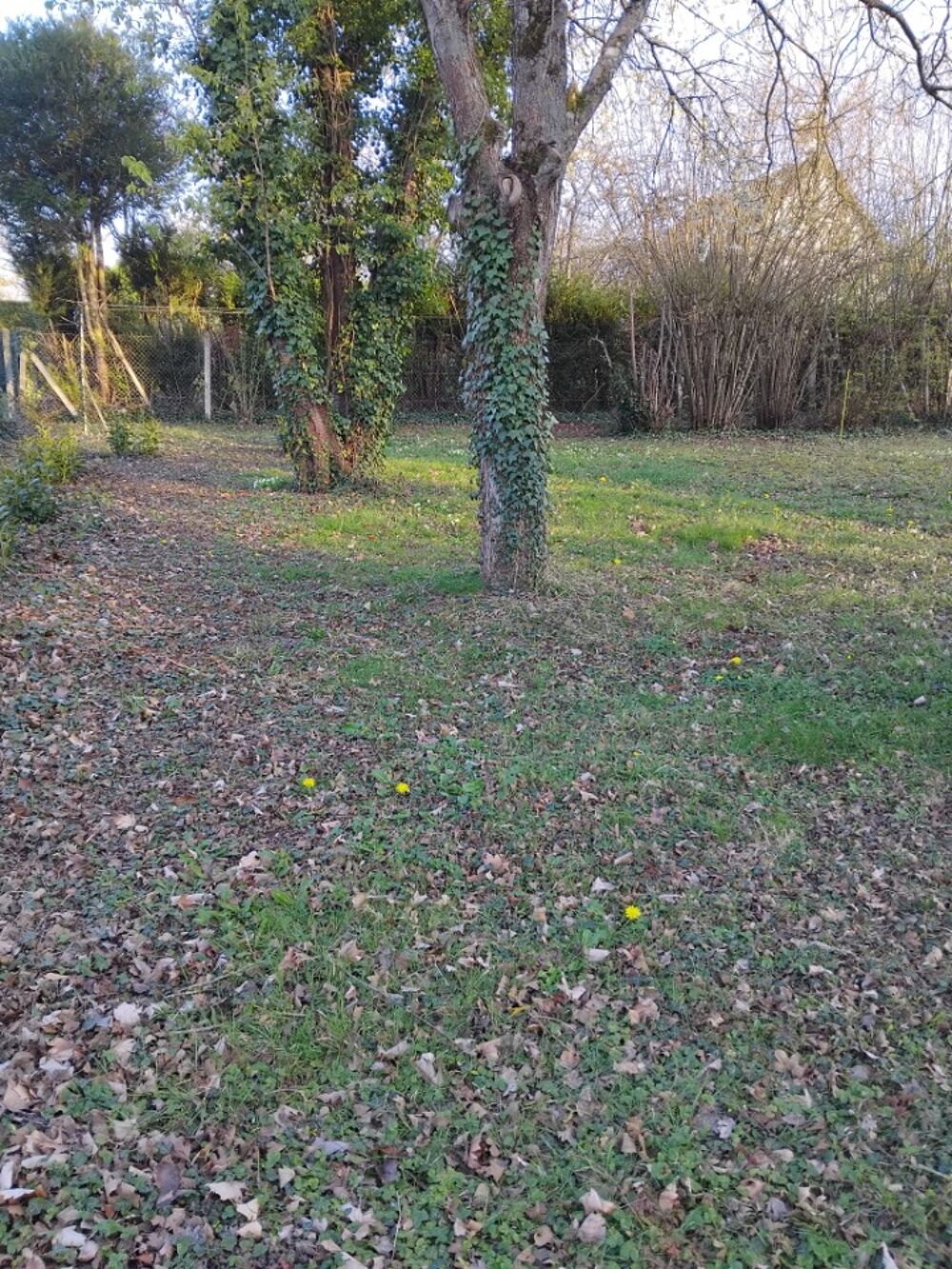 vente Terrain - 571 m² Houdan (78550)