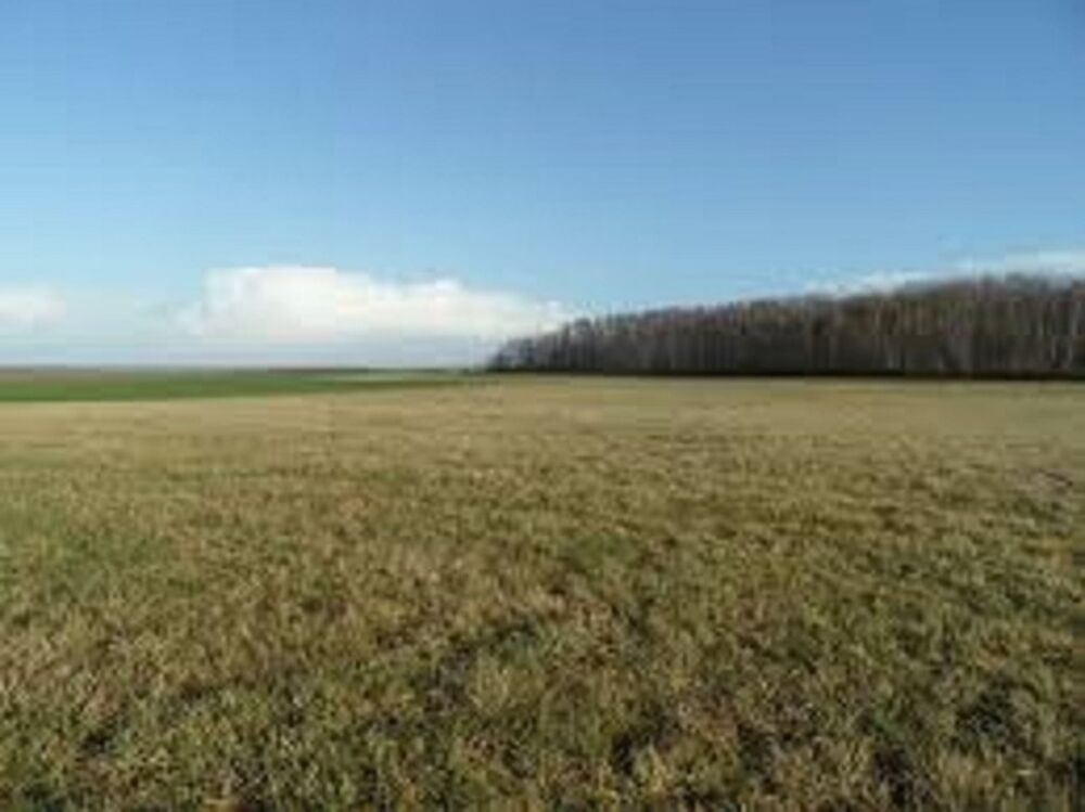 vente Maison - 5 pièce(s) - 85 m² Néry (60320)